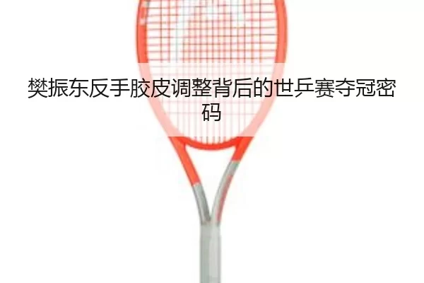 fan-zhen-dong-fan-shou-jiao-pi-tiao-zheng-bei-hou-de-shi-ping-sai-duo-guan-mi-ma-2-625.jpg