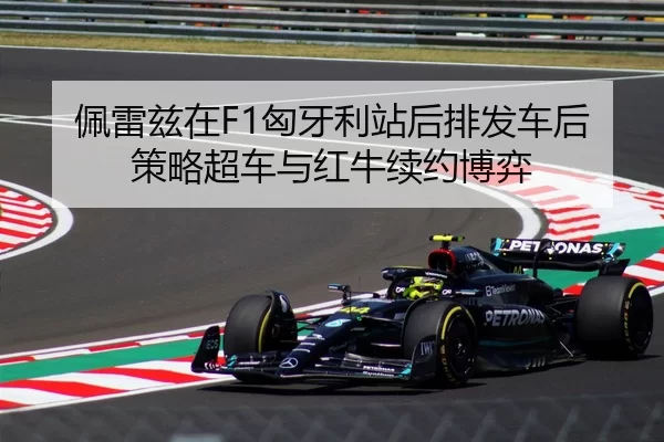 pei-lei-zi-zai-xiong-ya-li-zhan-hou-pai-fa-che-hou-ce-lve-chao-che-yu-hong-niu-xu-yue-bo-yi-3-815.jpg